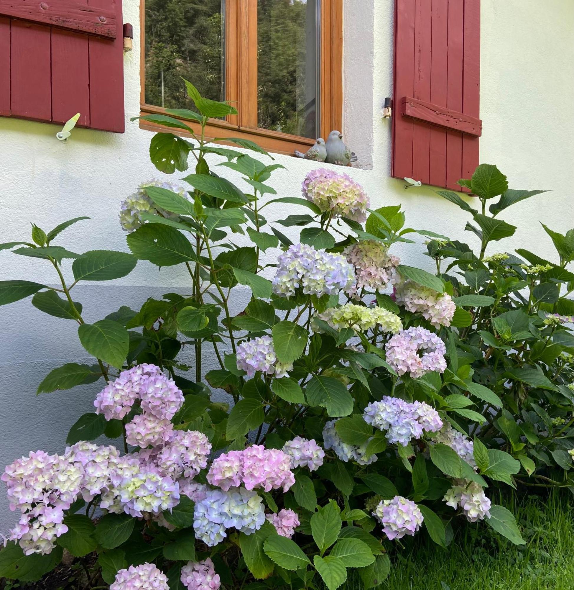 Gîte de la Mésange Rochesson Exterior foto